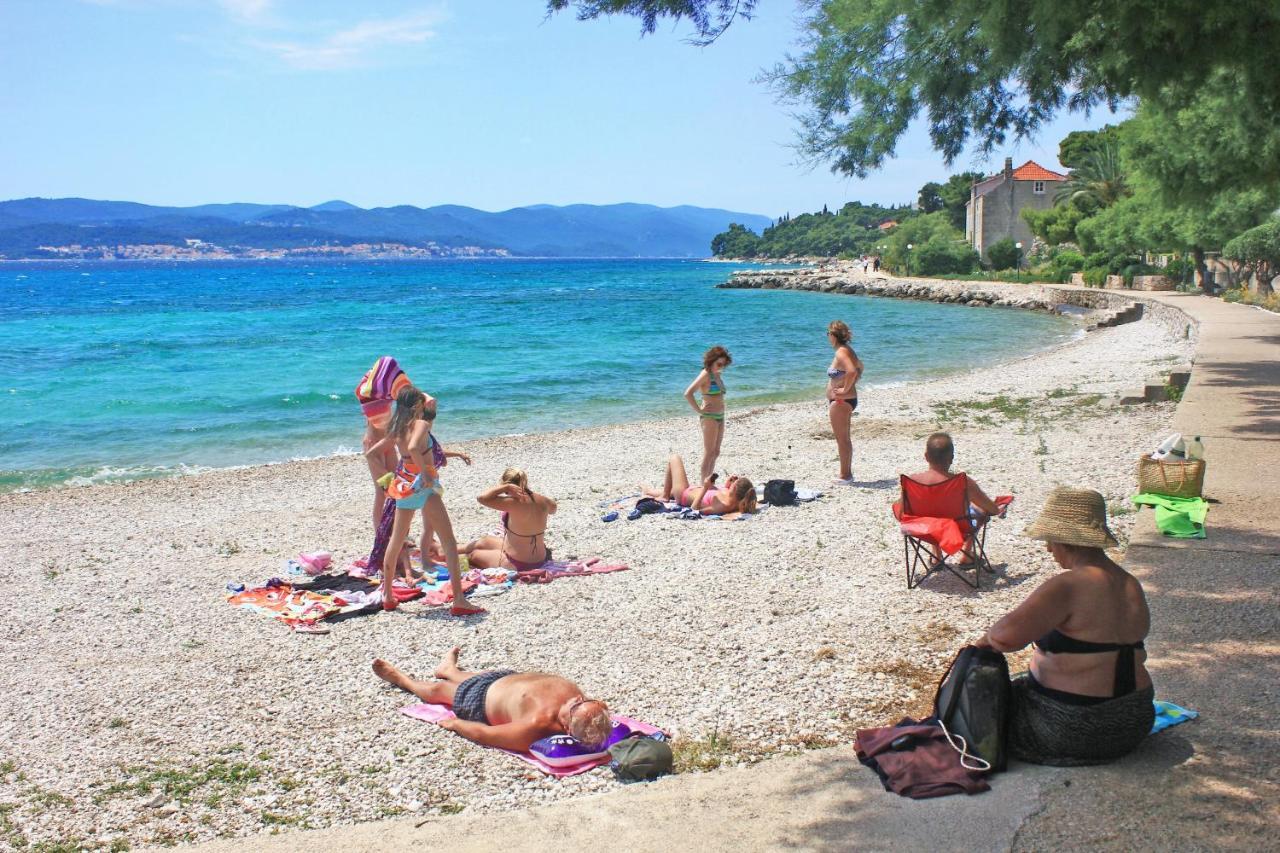 Apartments And Rooms With Parking Space Orebic, Peljesac - 10191 Kültér fotó